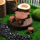 5-pcs-fairy-garden-accessories-miniature-5.jpg