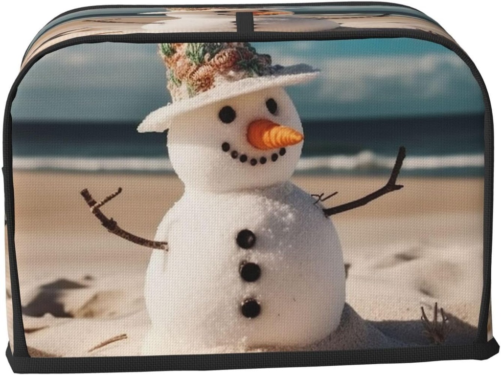 snowman-with-seashells-sitting-on-sandy--2.jpg