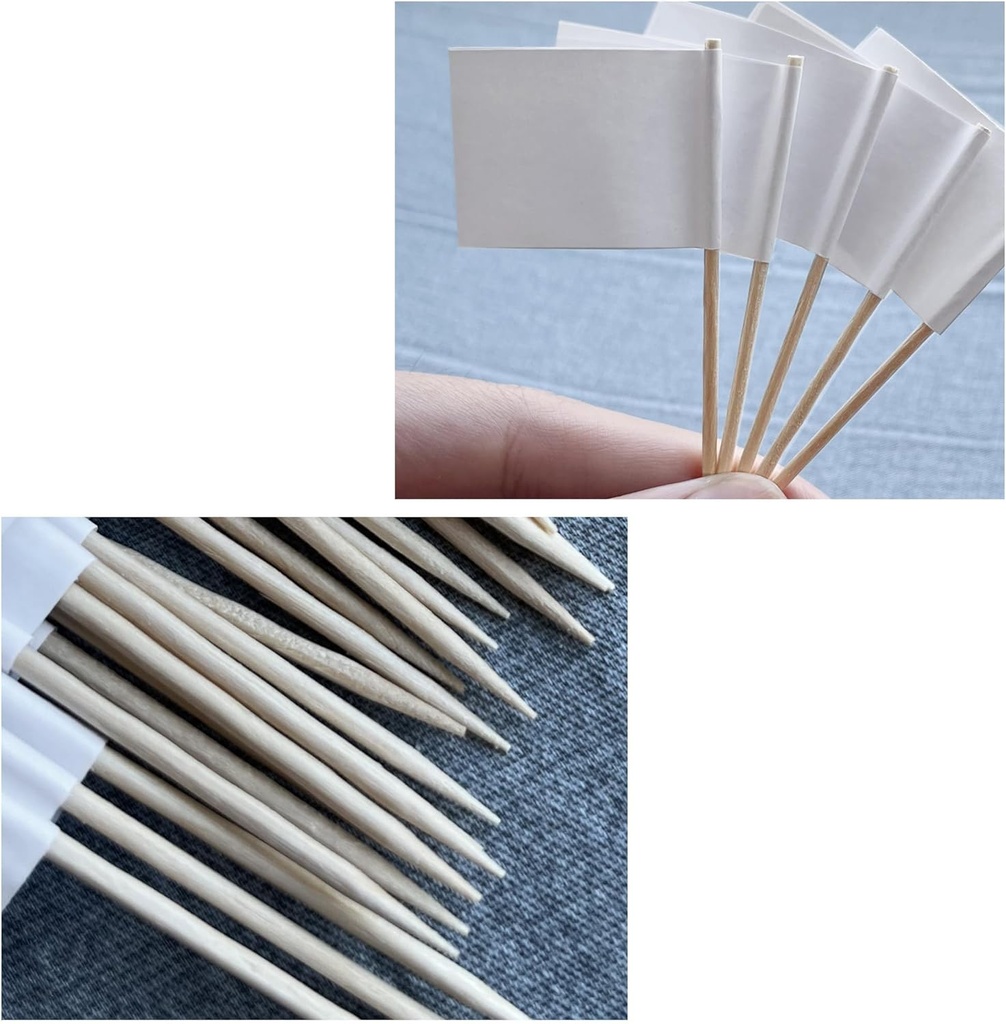100-pack-blank-toothpick-flags-cheese-ma-5.jpg