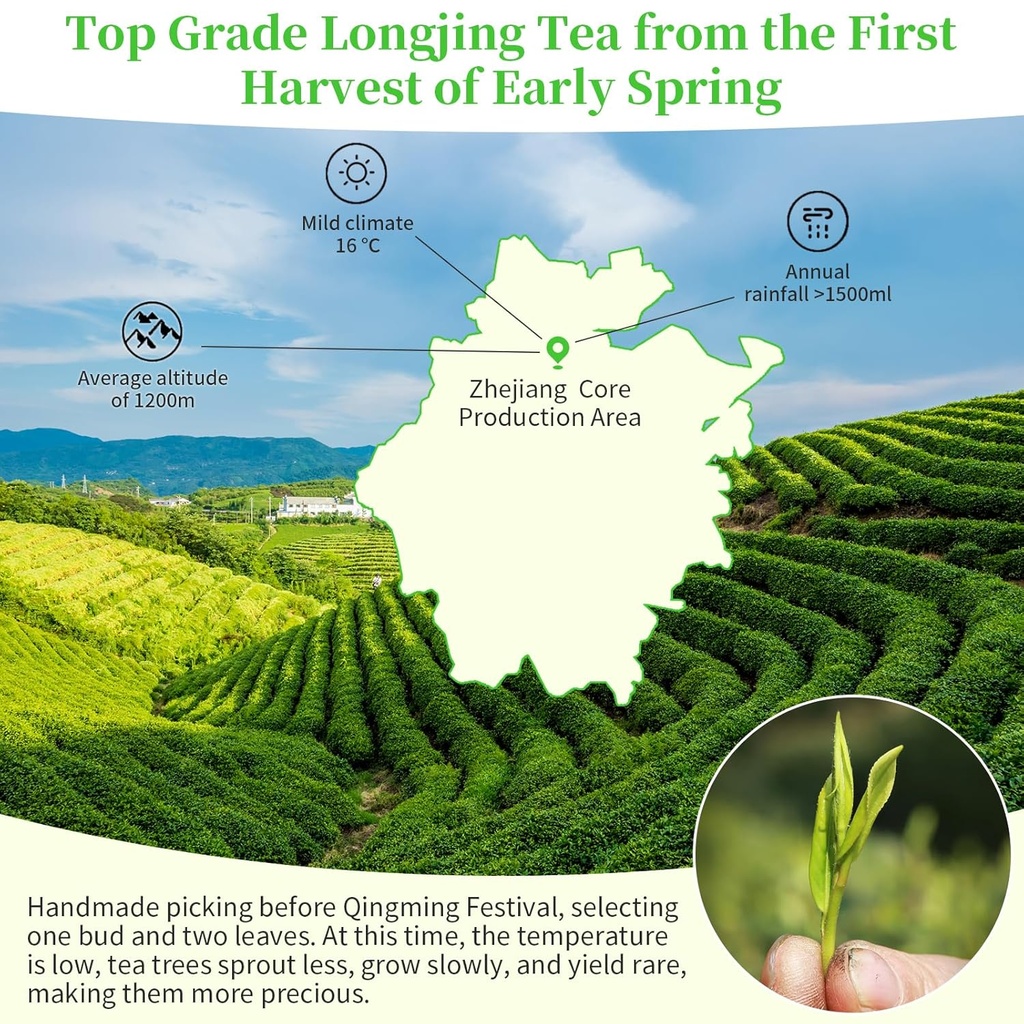 xixicha-longjing-tea-new-tea-grade-aaa-d-2.jpg