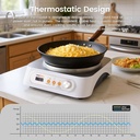 induction-wok-burner-nestiqex-portable-i-5.jpg