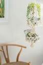 hanging-basket-macrame-plant-hanger-larg-5.jpg