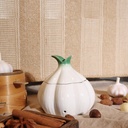 toivo-garlic-keeper-for-counterwith-lid--3.jpg