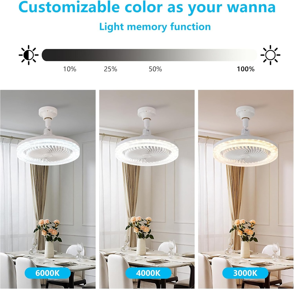 small-ceiling-fan-with-lights10-inch-mod-2.jpg