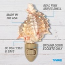 tumbler-home-shell-night-light-seashell--3.jpg