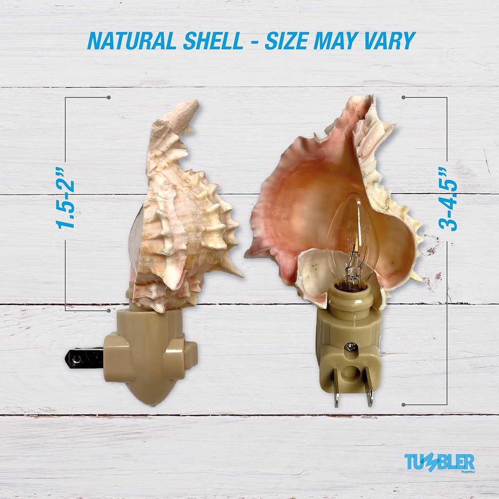 tumbler-home-shell-night-light-seashell--5.jpg