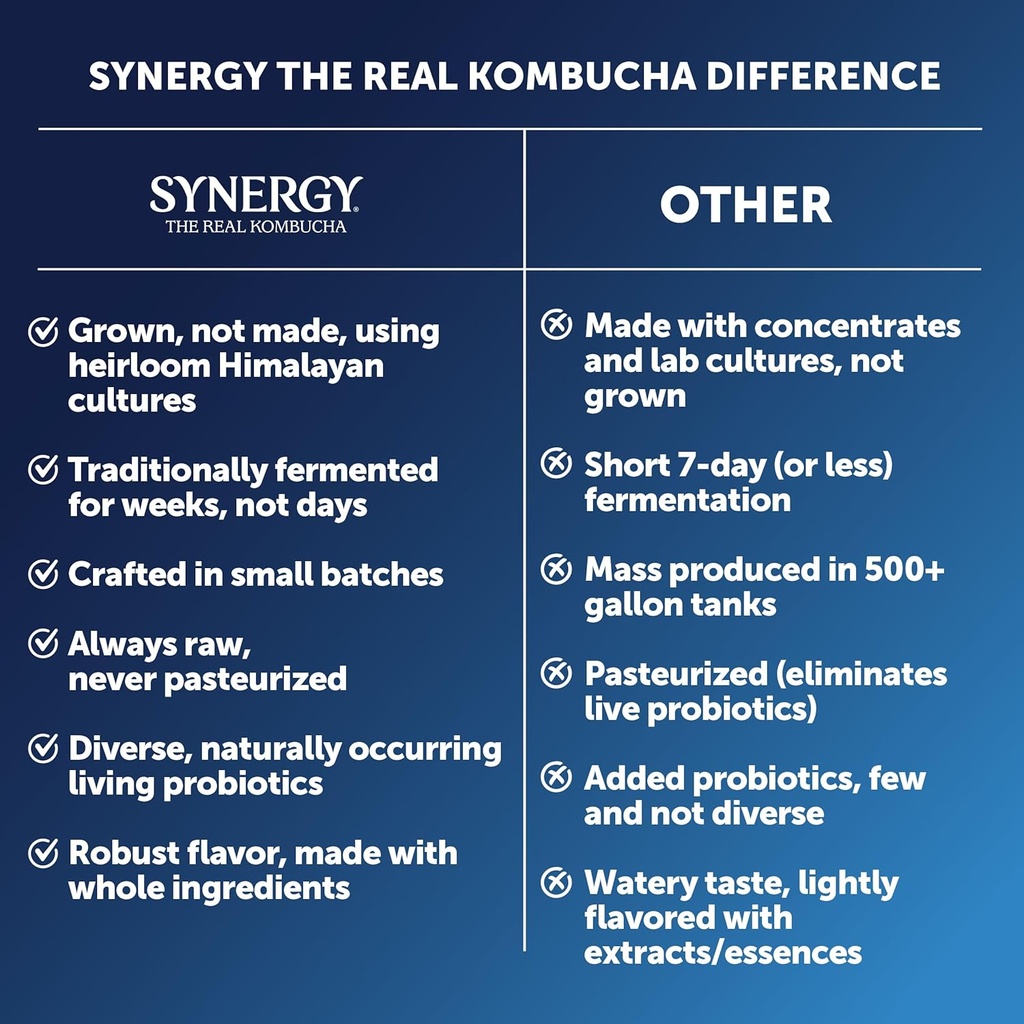 synergy-the-real-kombucha---gingerberry--5.jpg