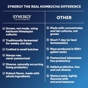 synergy-the-real-kombucha---gingerberry--5.jpg
