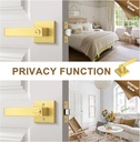 probrico-6-pack-gold-privacy-door-handle-4.jpg