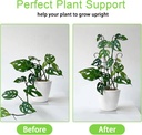 plant-trellis-for-potted-plants-2p-large-2.jpg