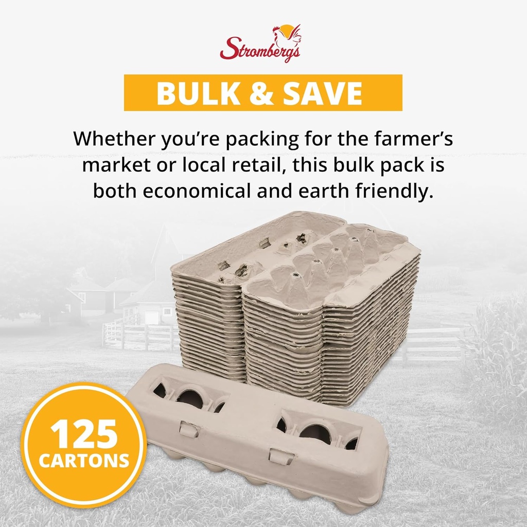 strombergs-large-blank-egg-cartons-bulk--4.jpg