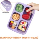 korlon-6-pack-bento-box-adult-bento-lunc-4.jpg
