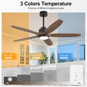 wingbo-54-ceiling-fan-with-light---5-car-3.jpg