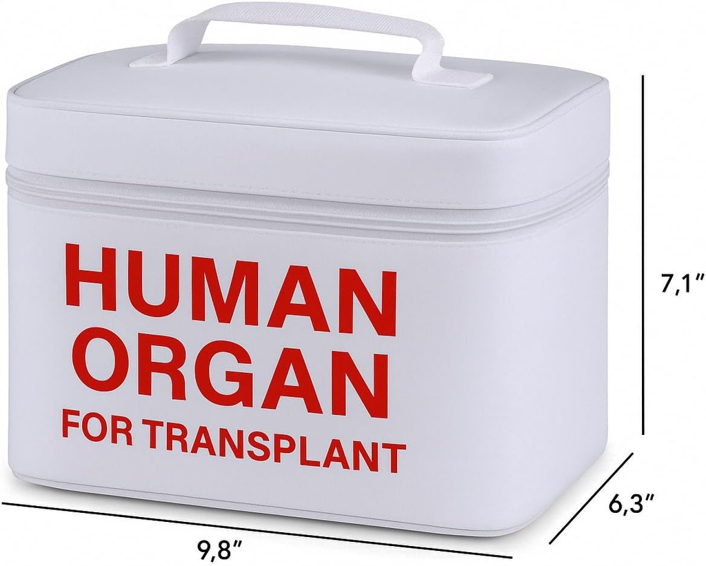 vintage-and-funny-human-organ-lunch-boxt-4.jpg