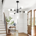 hhr-black-sputnik-ceiling-light-6-light--2.jpg