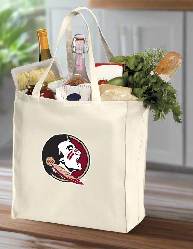 broad-bay-reusable-florida-state-shoppin-2.jpg