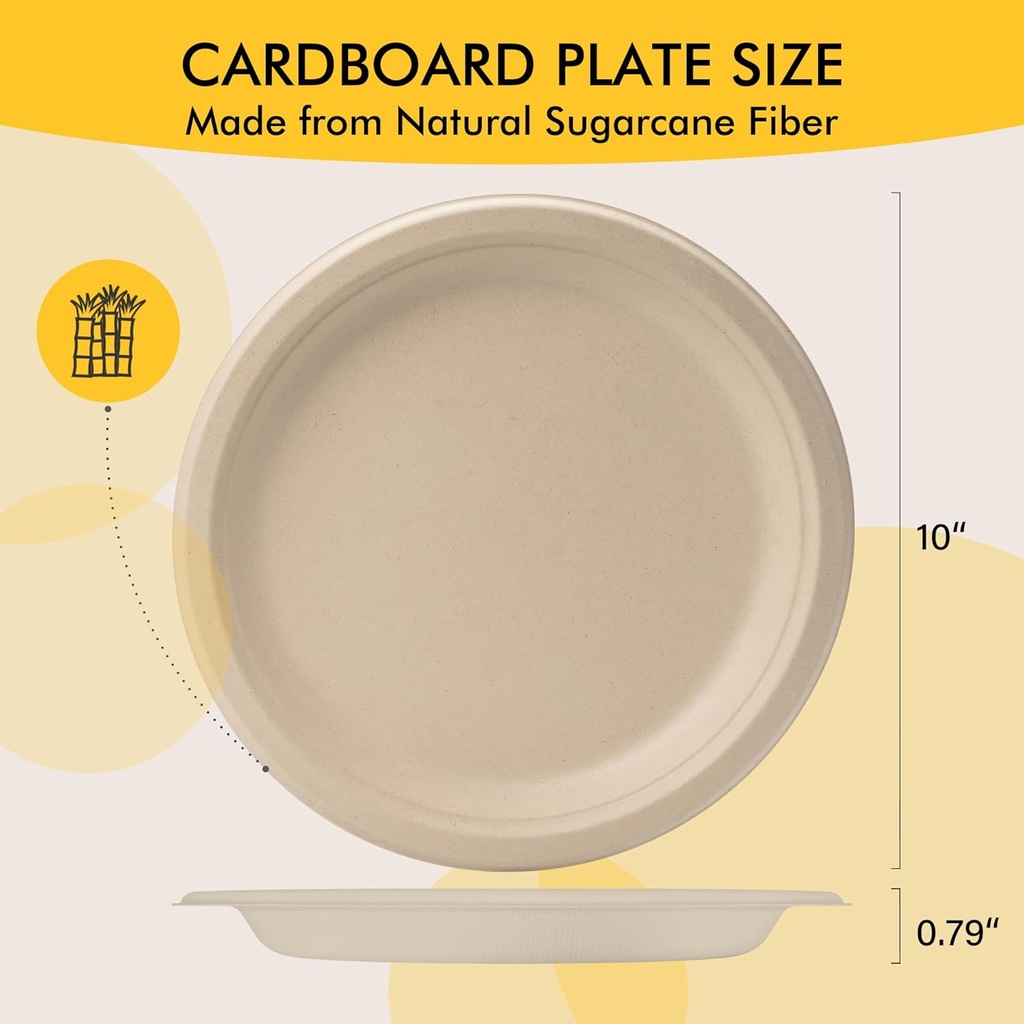 racetop-compostable-paper-plates-10-inch-6.jpg