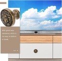 cabinet-knob-lion-head-handle-2pcs-zinc--5.jpg