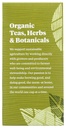 allegro-tea-organic-decaf-green-tea-bags-6.jpg