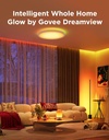 govee-floor-lamp-2-with-matter-rgbic-war-5.jpg