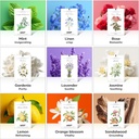 myaro-12-packs-lavender-scented-sachets--6.jpg