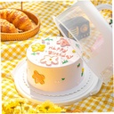 portable-reusable-cake-carrier-lid-trans-5.jpg