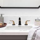 wowow-black-and-gold-widespread-bathroom-4.jpg