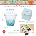 aderia-f75416-tsugaru-vidro-fukei-cup-hy-6.jpg
