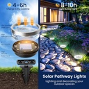 solpex-10-pack-solar-ground-lights-outdo-3.jpg