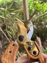 bypass-pruning-shears-for-gardening---sk-4.jpg