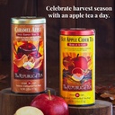 the-republic-of-tea---mulled-apple-spice-3.jpg