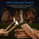 easygoproducts-eco-stix-fatwood-fire-sta-4.jpg