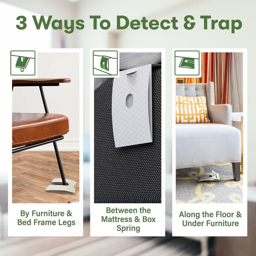 bugmd-bed-bug-trap-1-pack-12-traps---int-4.jpg