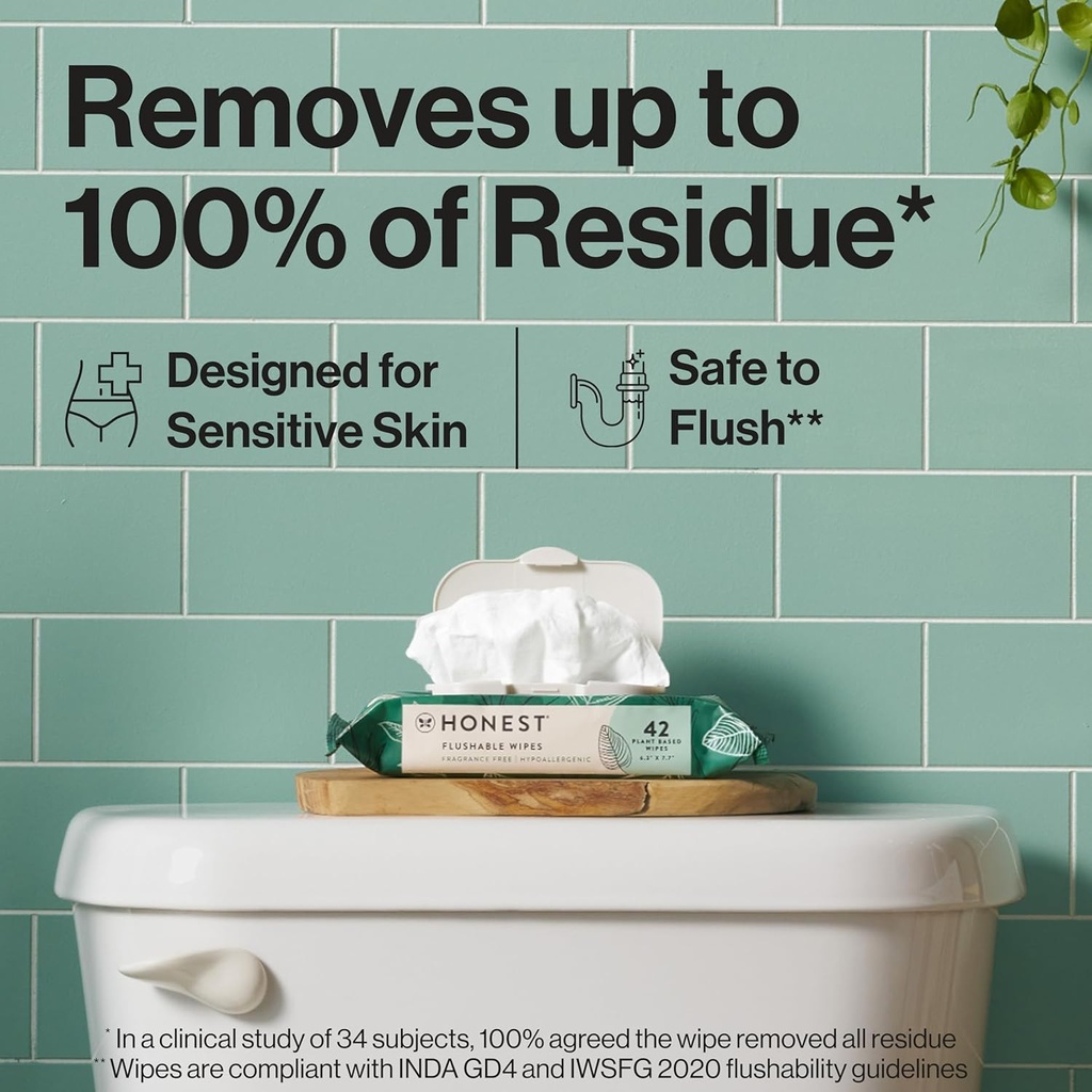 the-honest-company-flushable-wipes-for-s-2.jpg