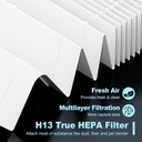 hpa300-hepa-filter-replacement-for-honey-3.jpg