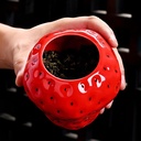 creative-ceramic-tea-storage-can-strawbe-5.jpg