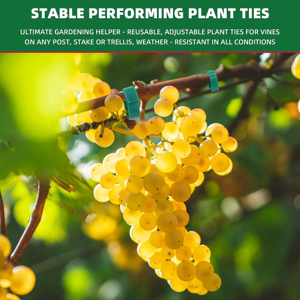 50-ft-x-12-inch-reusable-plant-ties-roll-5.jpg