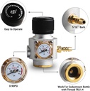 mini-gas-regulator-soda-keg-regulator-tr-2.jpg