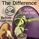 craft-aroid-potting-mix--elite-organic-a-4.jpg