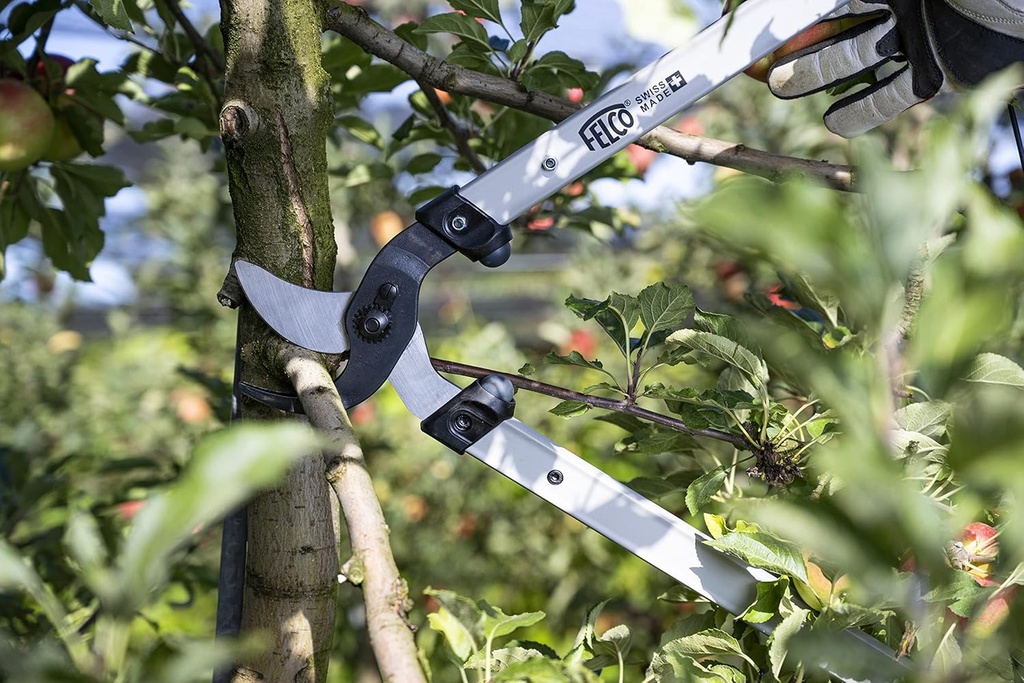 felco-f211-80-swiss-made-loppers-for-gar-3.jpg