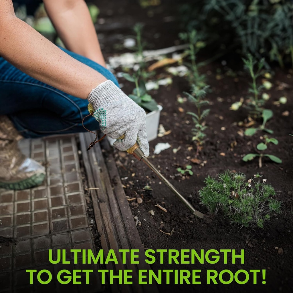 garden-guru-eco-dandelion-weeder-tool-wi-3.jpg