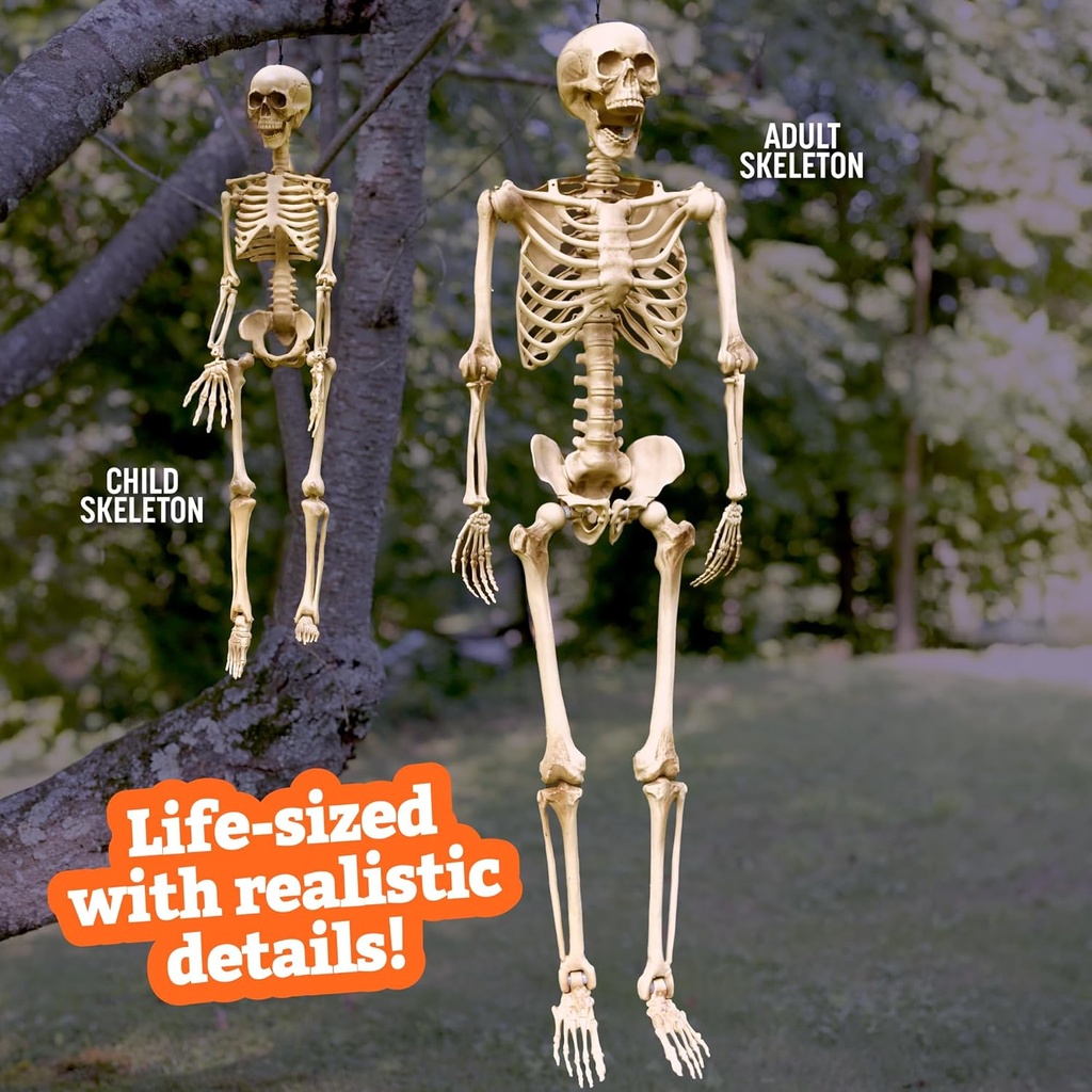 posable-life-size-human-skeleton-family--2.jpg