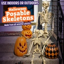 posable-life-size-human-skeleton-family--5.jpg