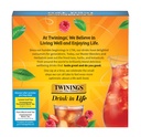 twinings-strawberry-raspberry-herbal-ice-6.jpg
