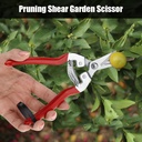 straight-pruning-shears-fruit-tree-bonsa-3.jpg