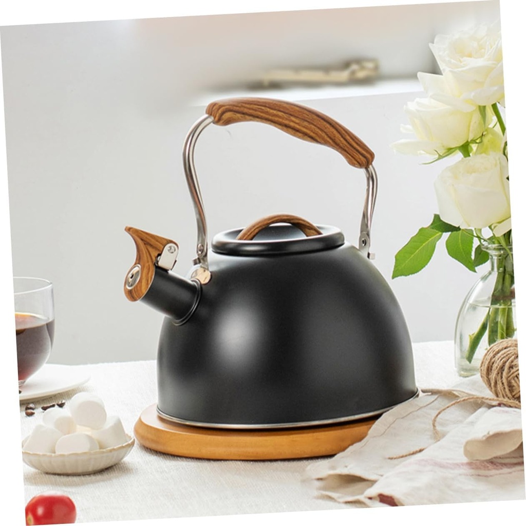 alipis-sounding-kettle-electric-tea-pot--2.jpg