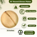dtocs-palm-leaf-plates-10-inch-round-100-4.jpg
