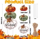 geetery-3-pcs-thanksgiving-pumpkin-outdo-3.jpg