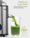 juicer-machine-800w-centrifugal-juicer-w-3.jpg