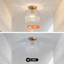 modern-semi-flush-mount-ceiling-light-in-6.jpg